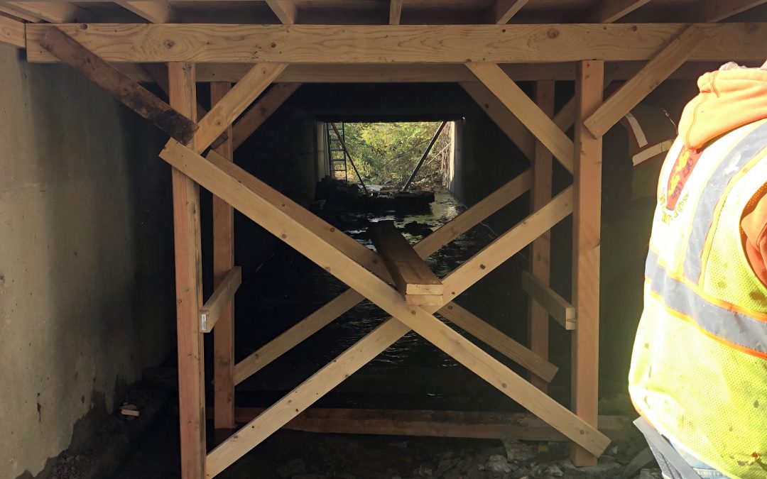 D263946 -Guiderail Installation and Replacement at Various Locations Region 3